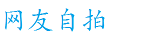 网友自拍 Logo